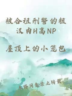 被合租刑警的粗汉肉H高NP