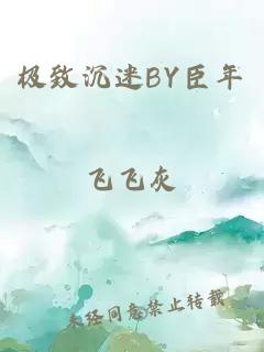 极致沉迷BY臣年