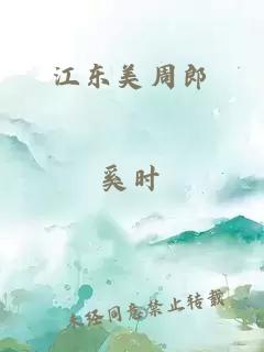 江东美周郎