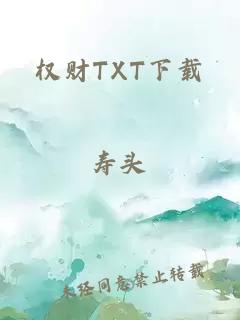 权财TXT下载