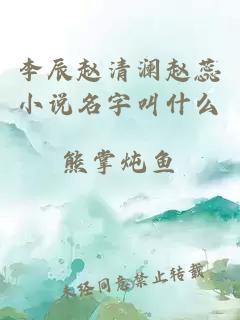 李辰赵清澜赵蕊小说名字叫什么