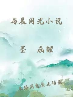 与晨同光小说