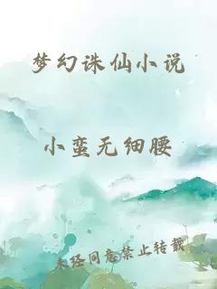 梦幻诛仙小说