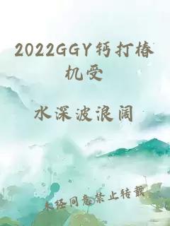 2022GGY钙打椿机受