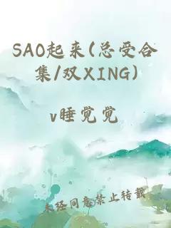 SAO起来(总受合集/双XING)