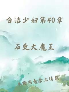 白洁少妇第40章