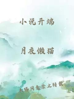 小说开端