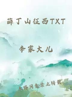 薛丁山征西TXT