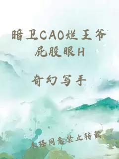 暗卫CAO烂王爷屁股眼H