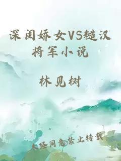 深闺娇女VS糙汉将军小说