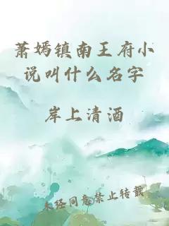 萧嫣镇南王府小说叫什么名字