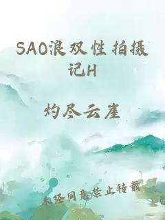 SAO浪双性拍摄记H