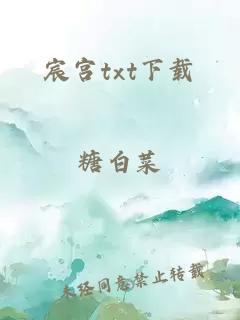 宸宫txt下载